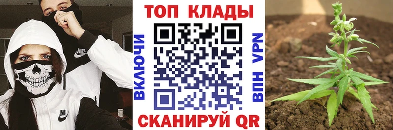 Где продают наркотики Владикавказ Лсд 25  Меф мяу мяу  MEGA как войти  МЕТАМФЕТАМИН  Cocaine 