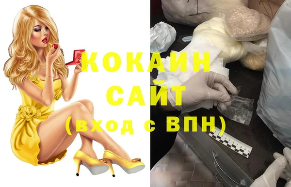 гидра Грязовец