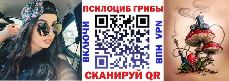 магазин продажи наркотиков  Владикавказ  блэк спрут зеркало  Галлюциногенные грибы Magic Shrooms 