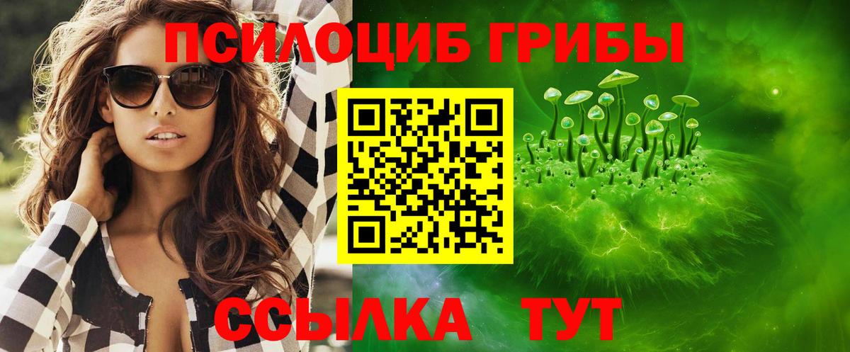 Галлюциногенные грибы GOLDEN TEACHER Владикавказ