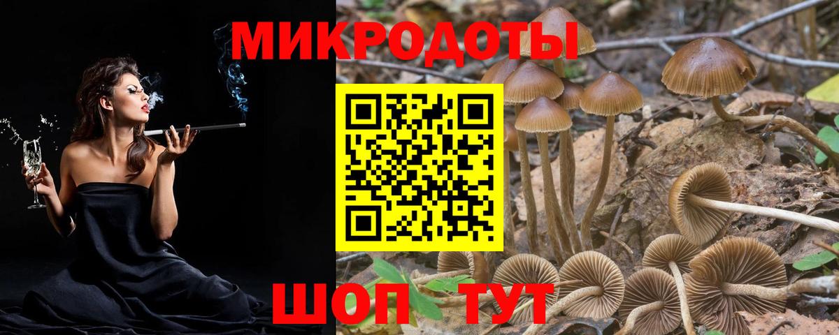 Владикавказ  Галлюциногенные грибы Magic Shrooms  Вход с VPN 