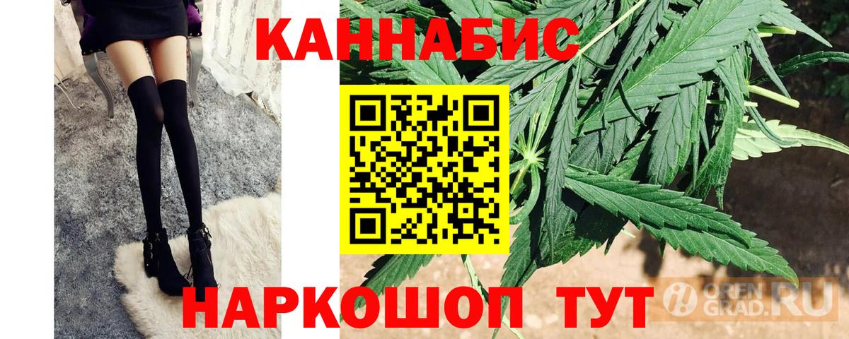 Владикавказ  Канабис планчик  Каннабис гибрид  Вход с VPN  Канабис семена  Бошки Шишки конопля 